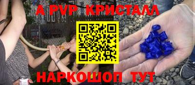 a pvp Можга
