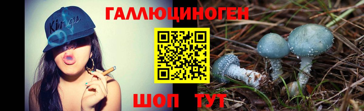 Псилоцибиновые грибы мухоморы Анапа
